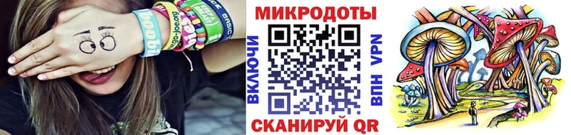где найти наркотики  Заволжье  Галлюциногенные грибы мицелий 