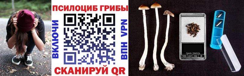 Галлюциногенные грибы GOLDEN TEACHER Заволжье